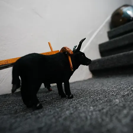 Lägenhet The Galata Istanbul